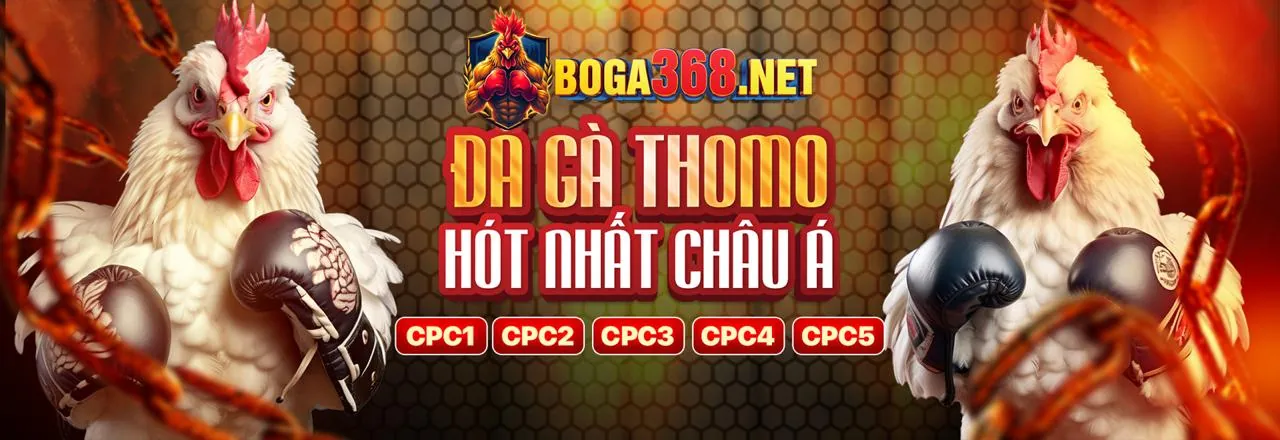 Sân vận động tràn ngập ánh sáng với hình ảnh các môn thể thao sôi động tại bet 365